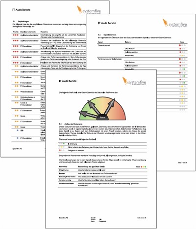 IT Perfomance Audit: Einblick in den Performance Report